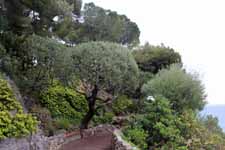 Principaut&eacute; de Monaco, les jardins de Saint-Martin