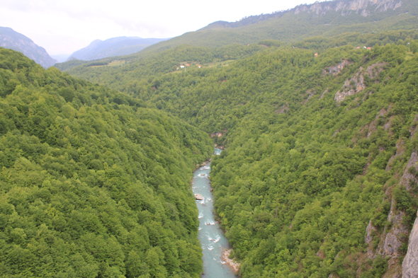 Canyon de la Tara, vue