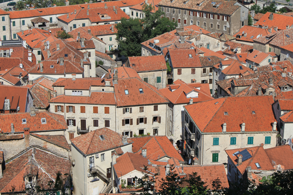 Kotor, centre