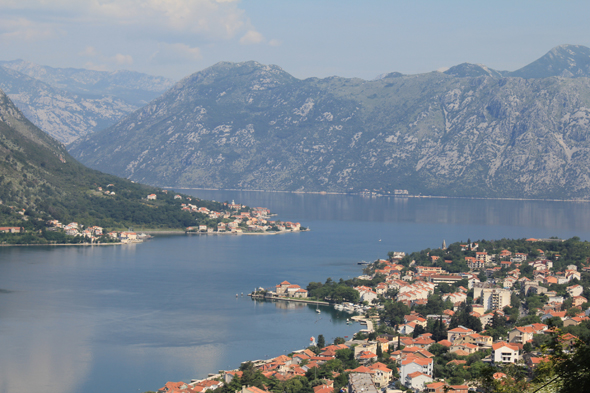 Kotor, rives