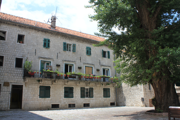 Kotor, place