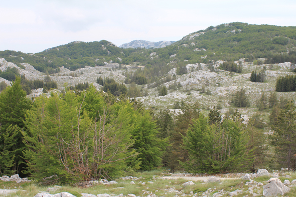 Lovcen, parc