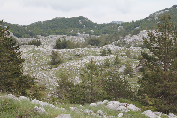 Parc de Lovcen