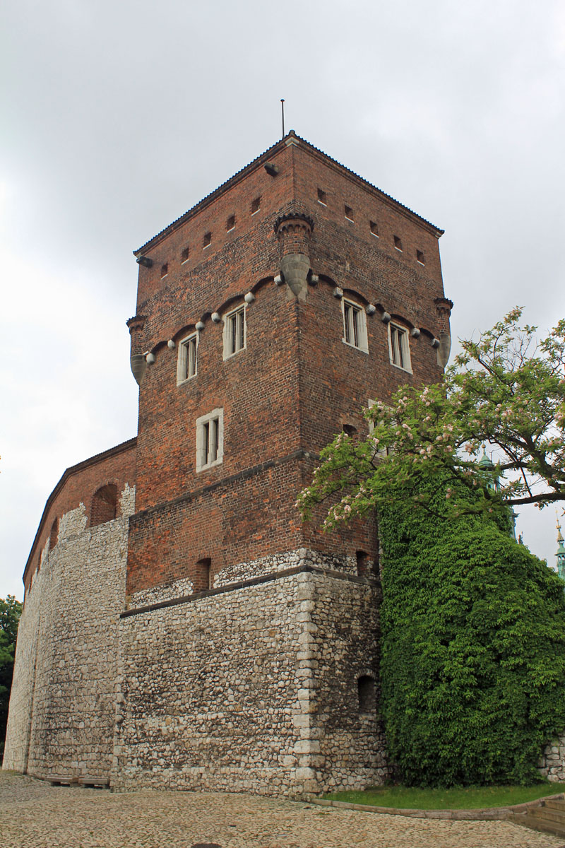 Cracovie, Château Royal, tour