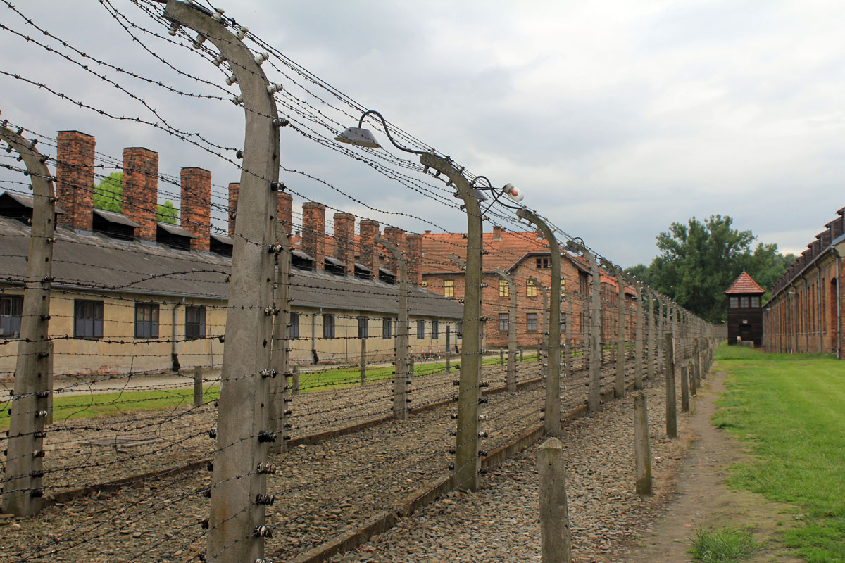 Auschwitz, grillage