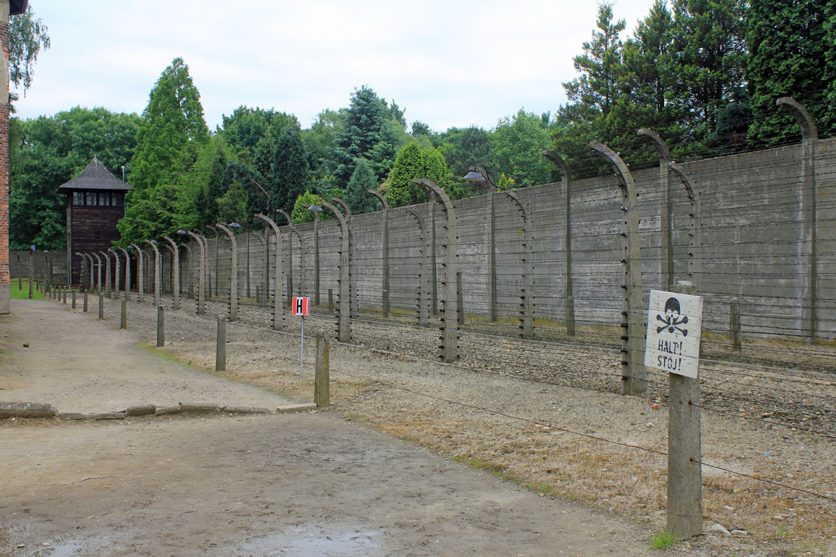 Auschwitz, grillage, camp de concentration