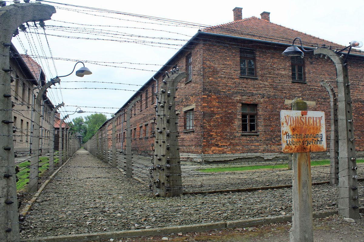 Auschwitz, camp d extermination, grillage