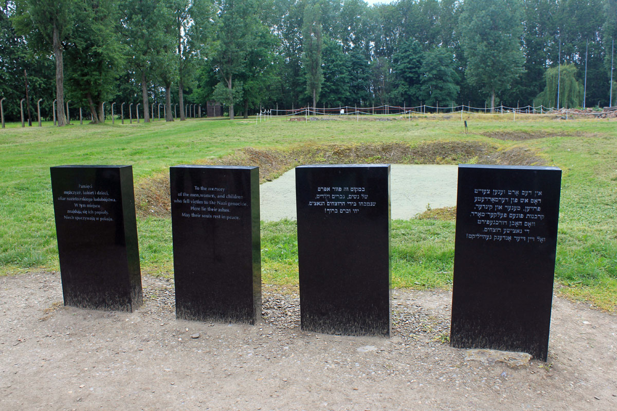 Birkenau, cendre