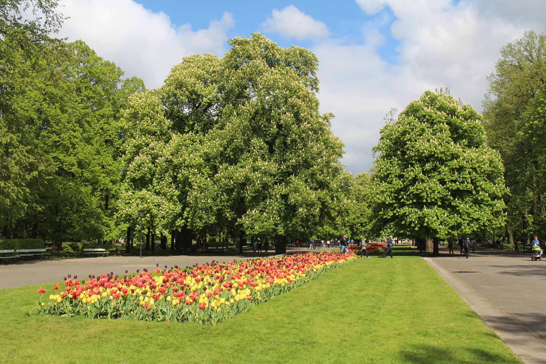 Varsovie, jardin de Saxe