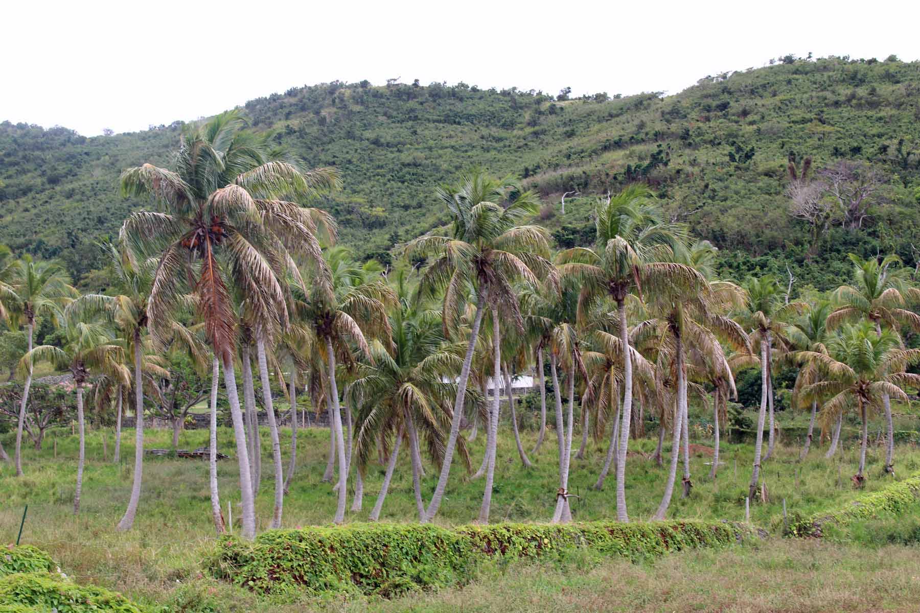 Ile de Saint-Martin, Colombier, paysage