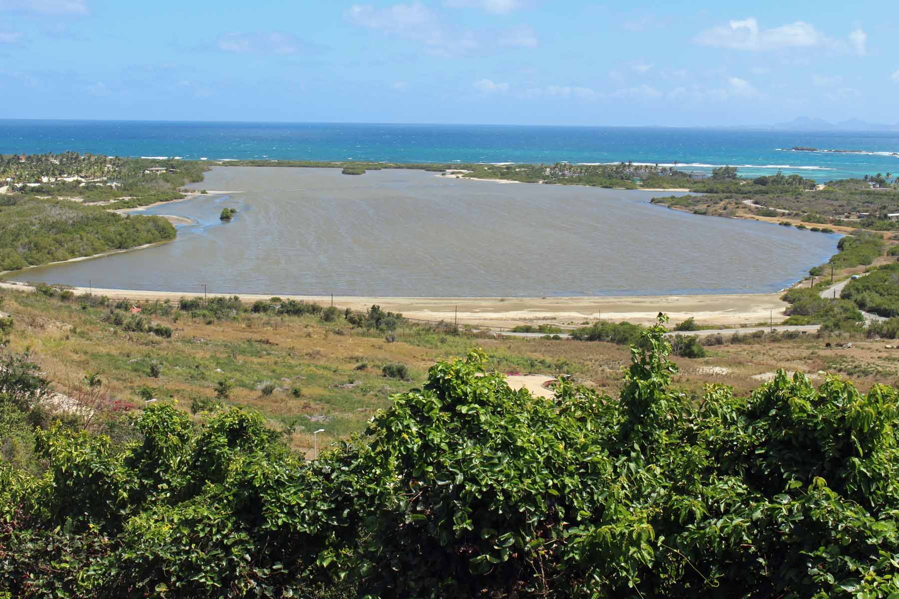 Ile de Saint-Martin, étang salé de la Baie Orientale