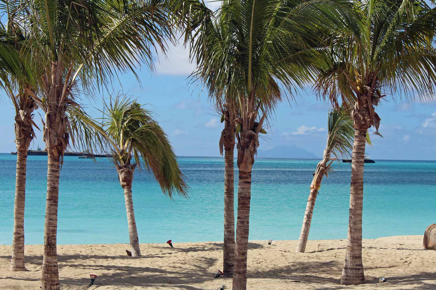 Ile de Saint-Martin, Philipsburg, plage, palmier