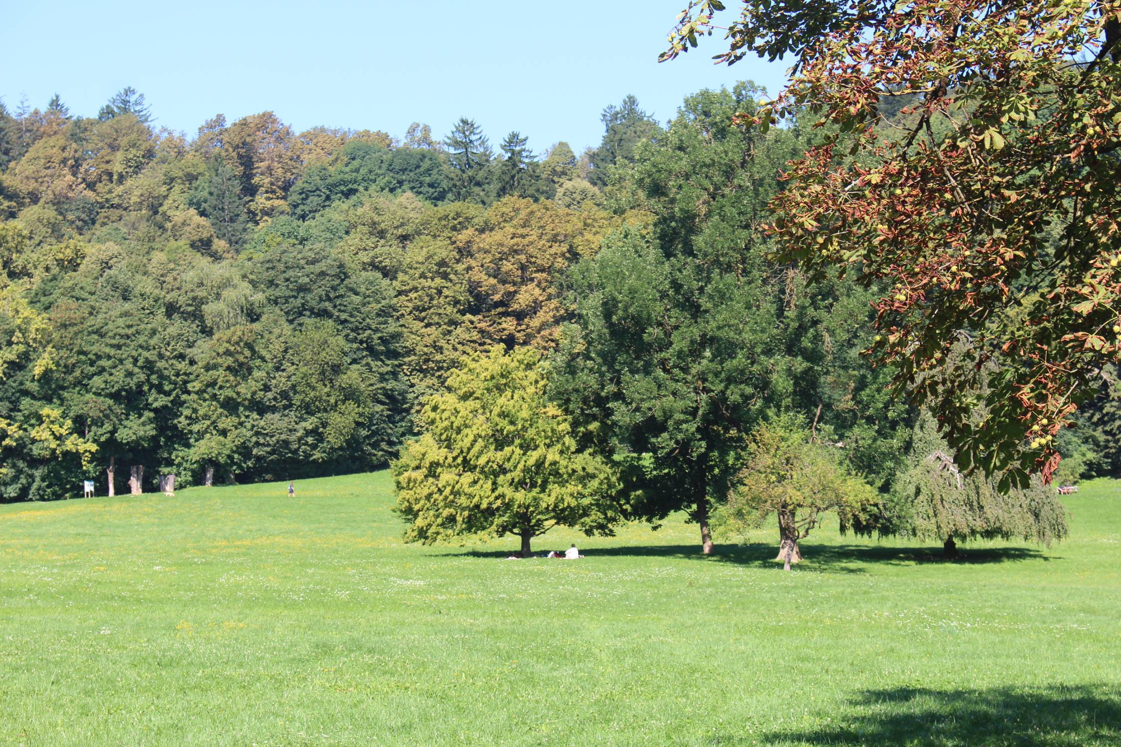 Ljubljana, parc Tivoli