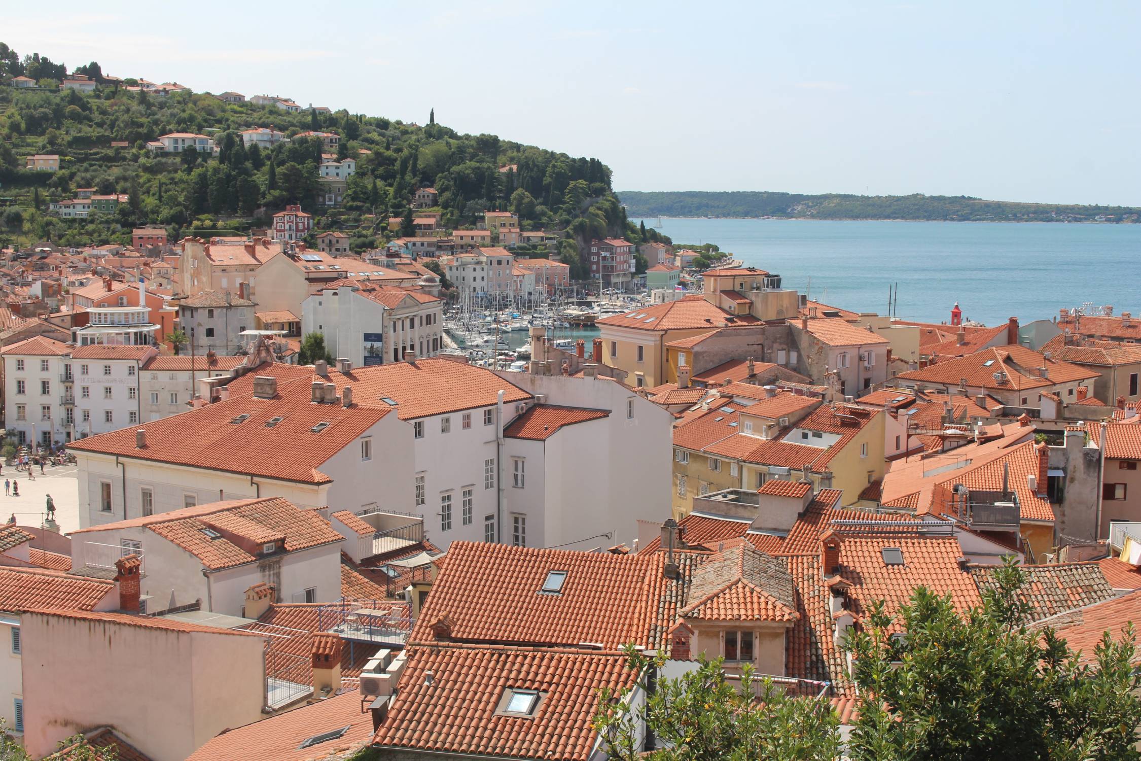 Piran, panorama