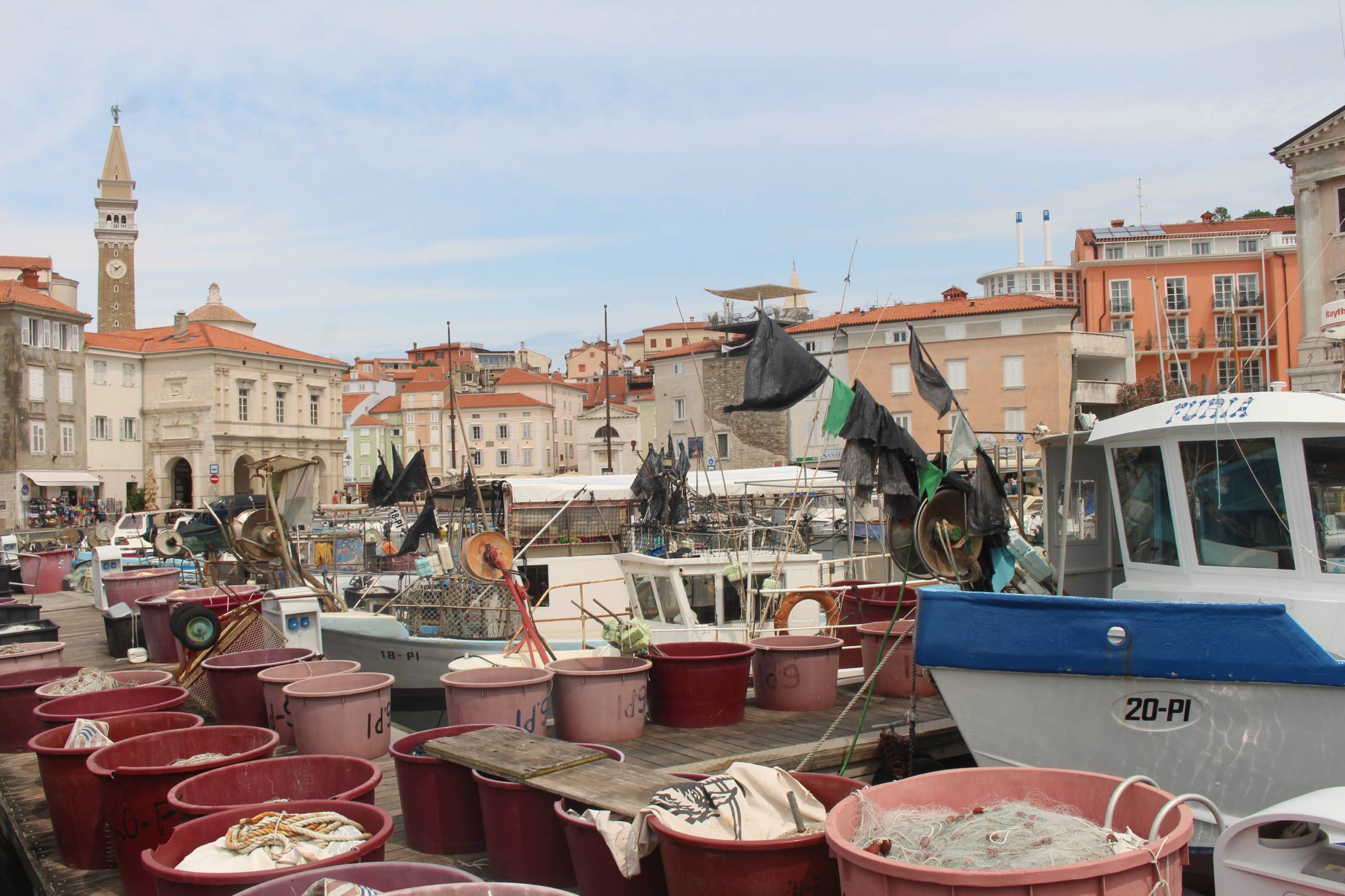 Piran, port, bateaux