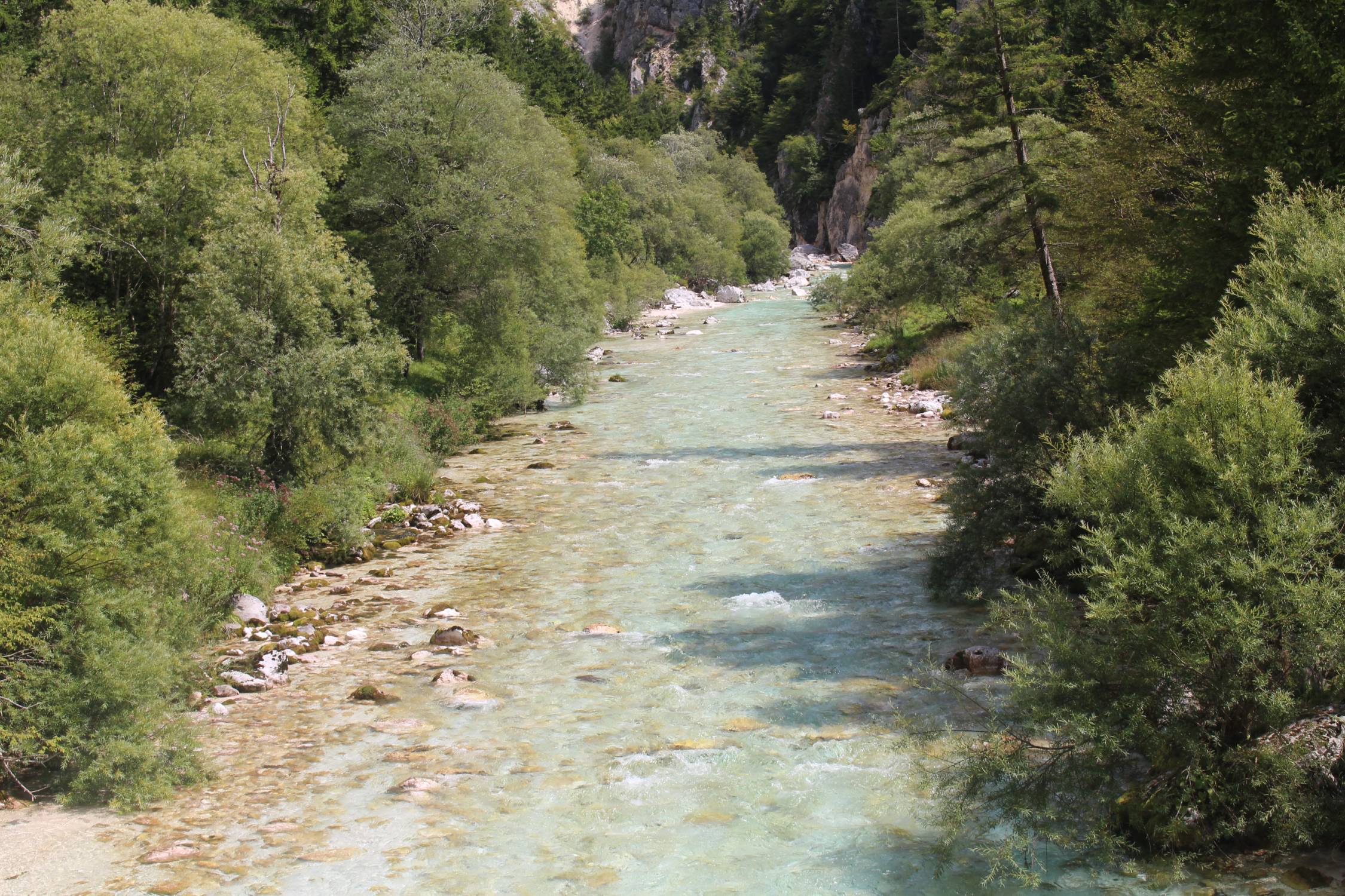 Parc du Triglav, rivière Soca