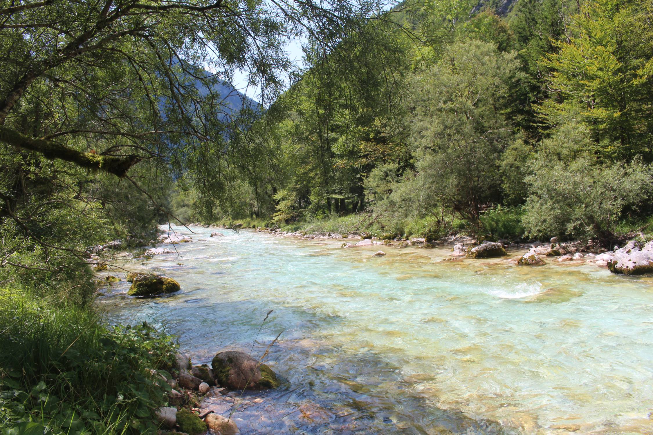 Vallée de la Soca, paysage