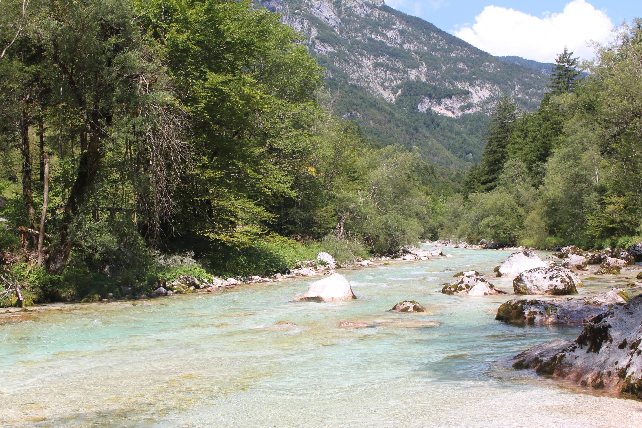 Vallée de la Soca, Slovénie