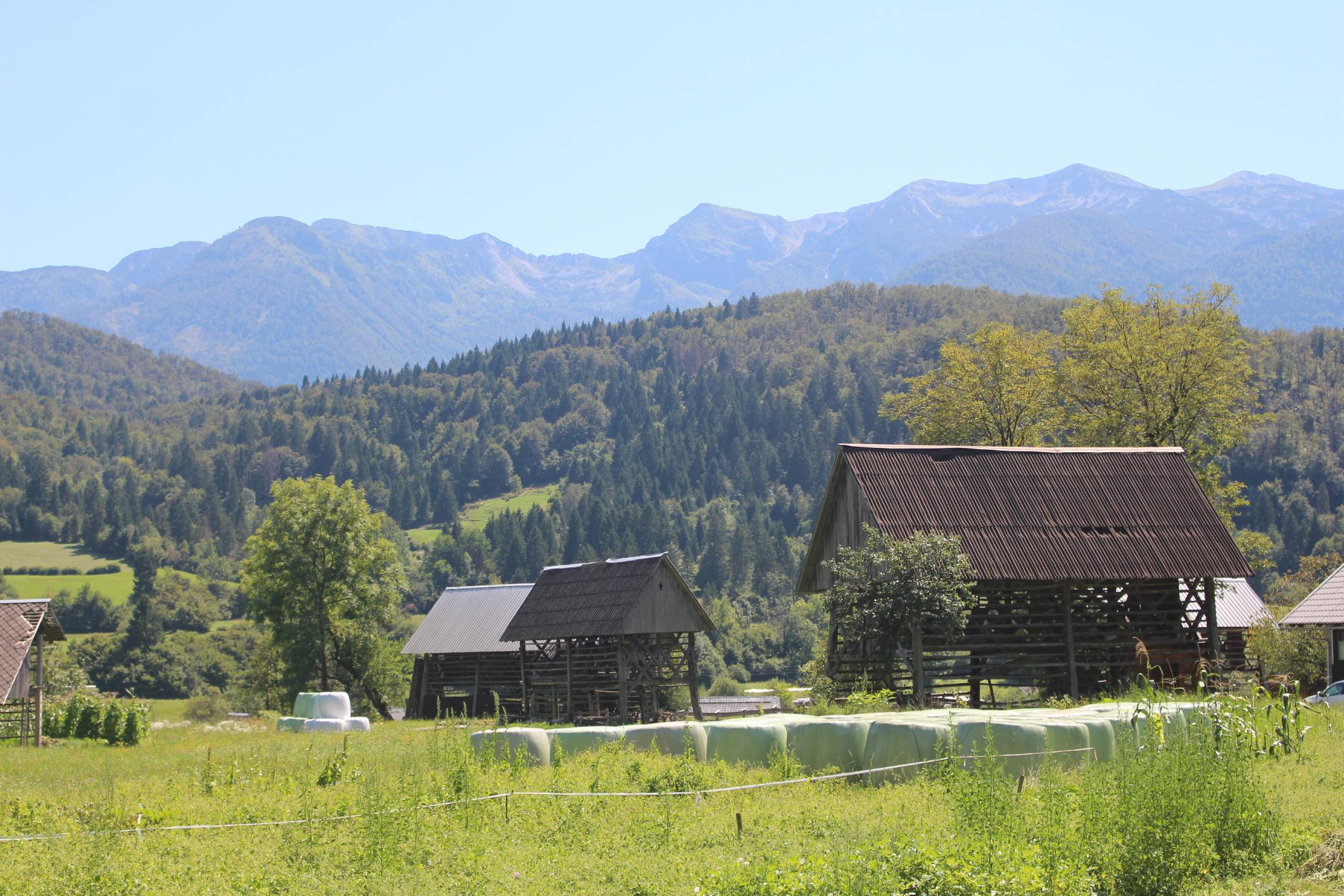 Goreljek, granges