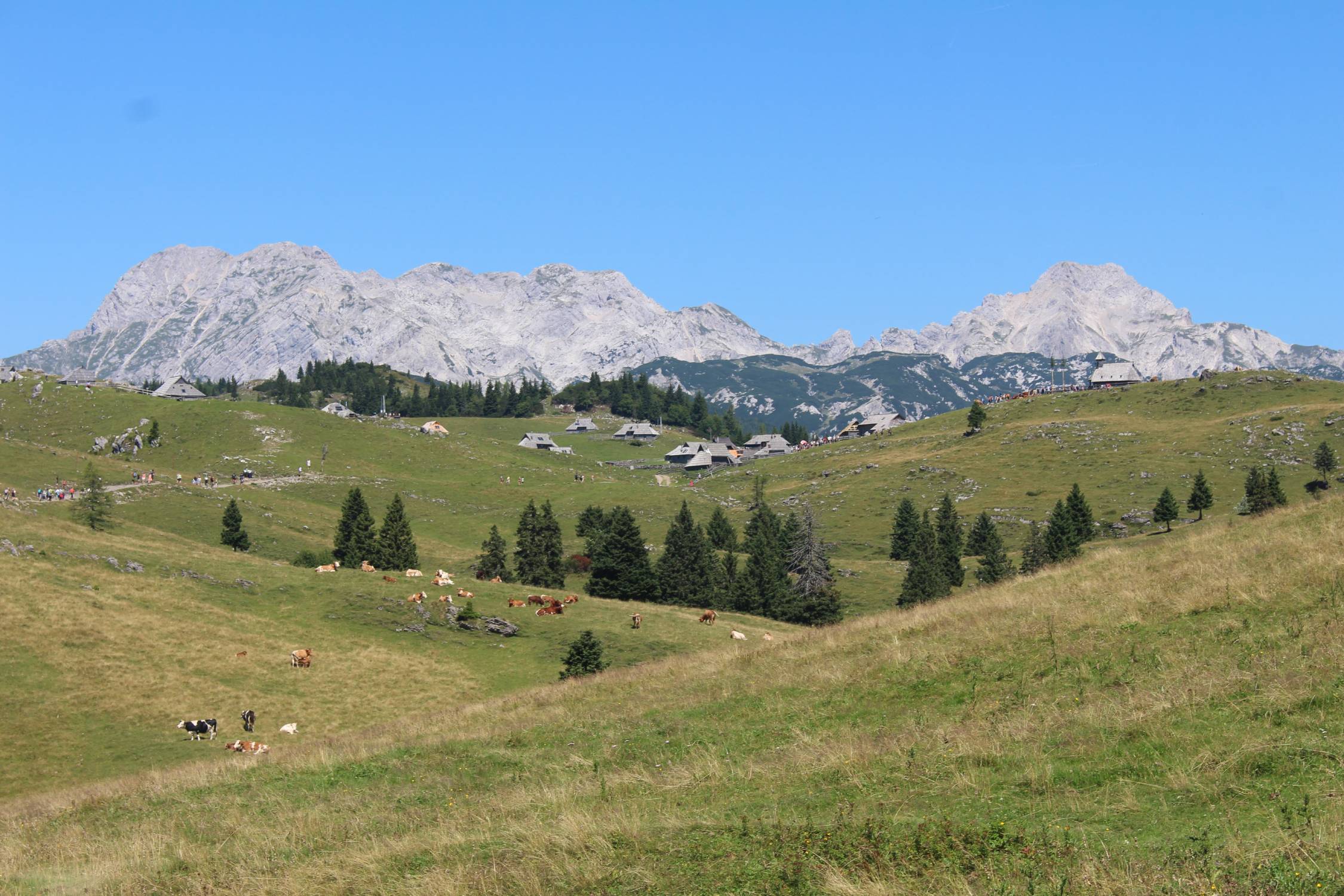 Velika Planina, Slovénie