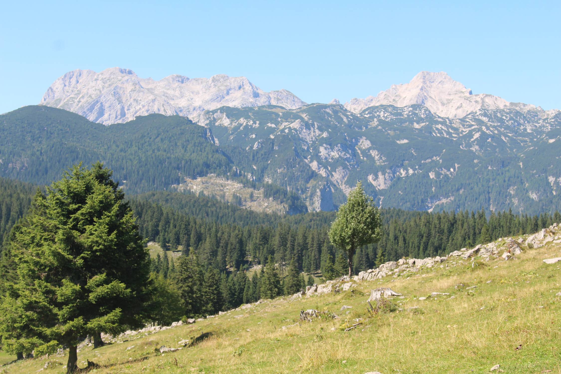 Velika Planina, panorama