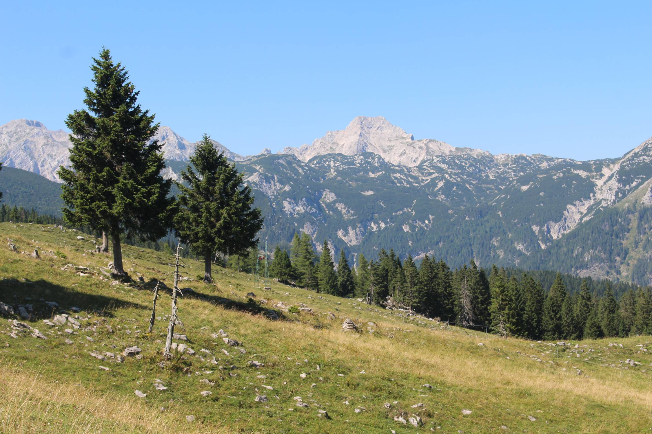 Velika Planina, paysage