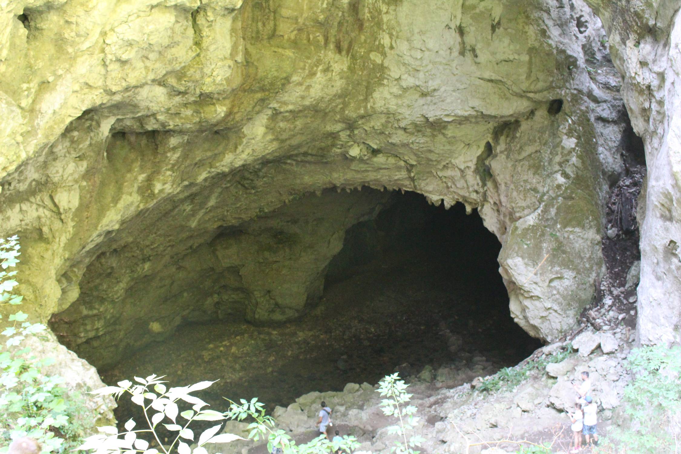 Rakov Škocjan, grottes