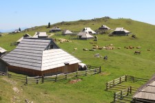 Velika Planina, habitations traditionnelles
