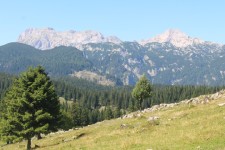 Velika Planina, panorama
