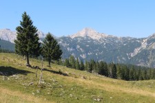 Velika Planina, paysage