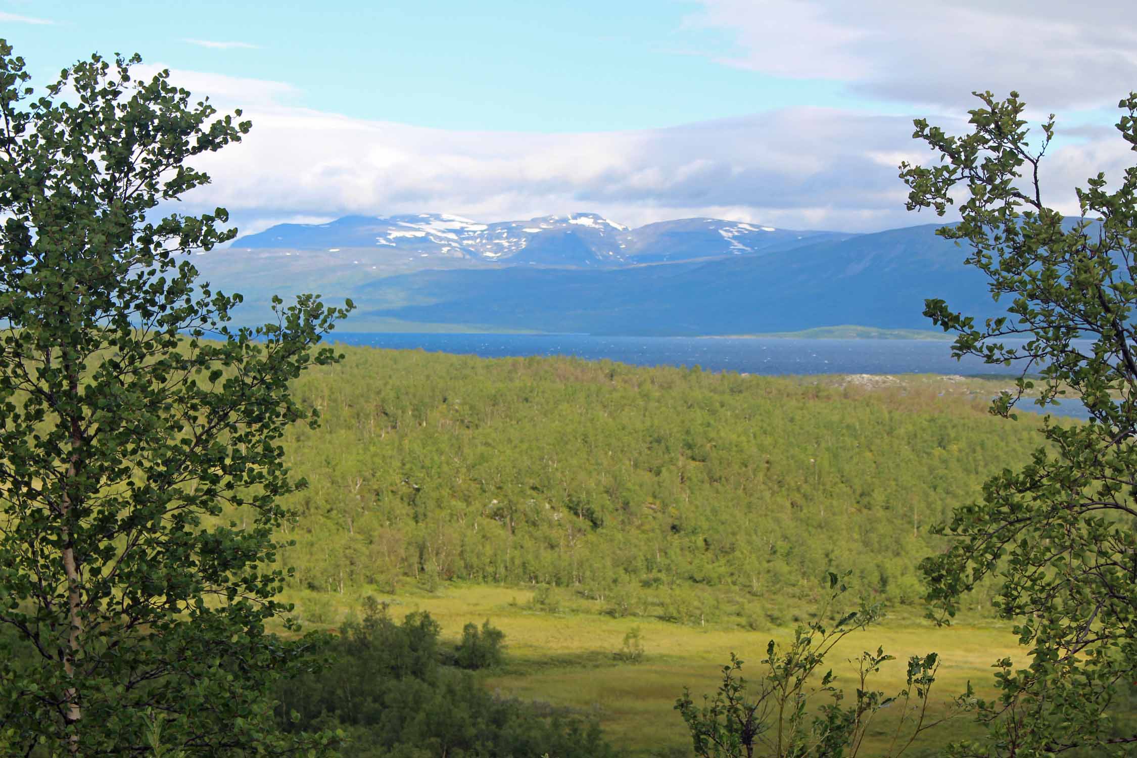 Laponie, Suède, lac Torniojarvi, forêt