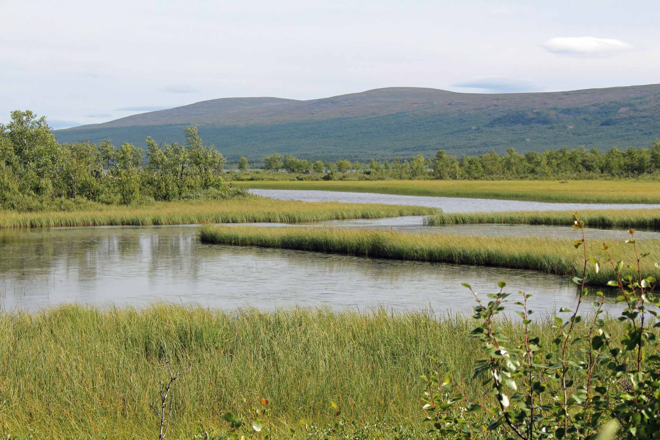 Laponie, Suède, lac Paittasjärvi, paysage