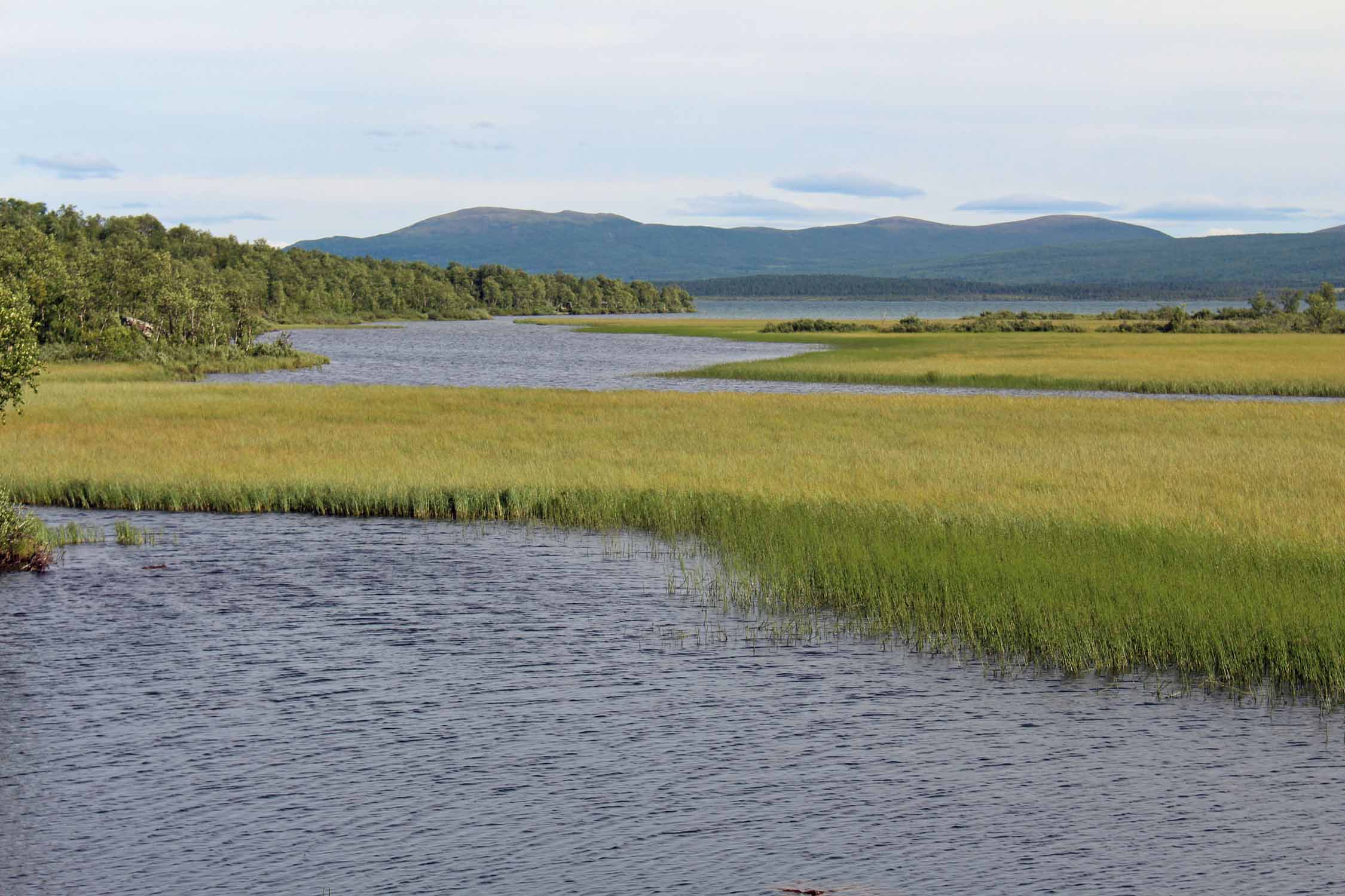 Laponie, lac Paittasjärvi