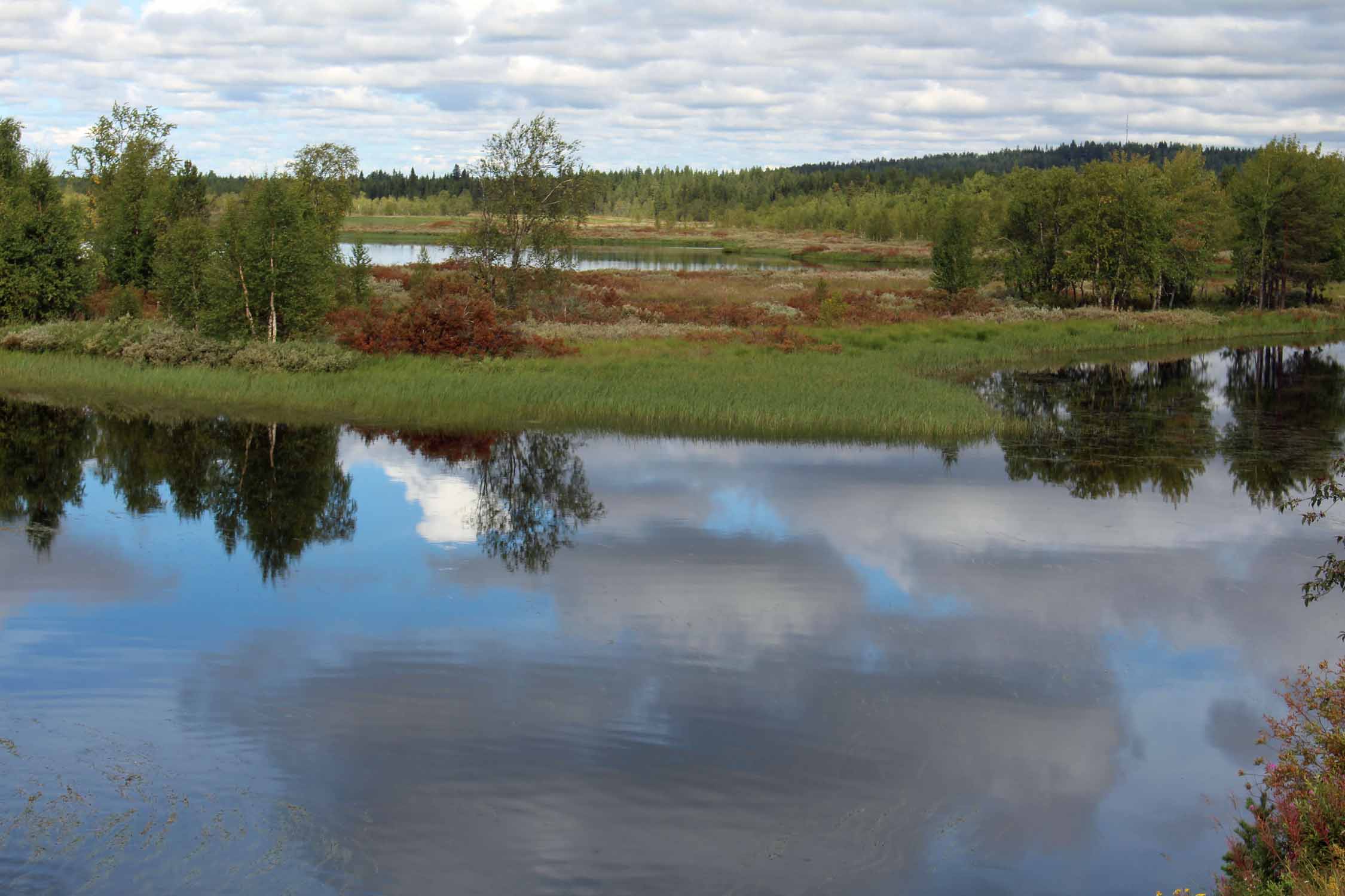 Laponie, Junosuando, paysage