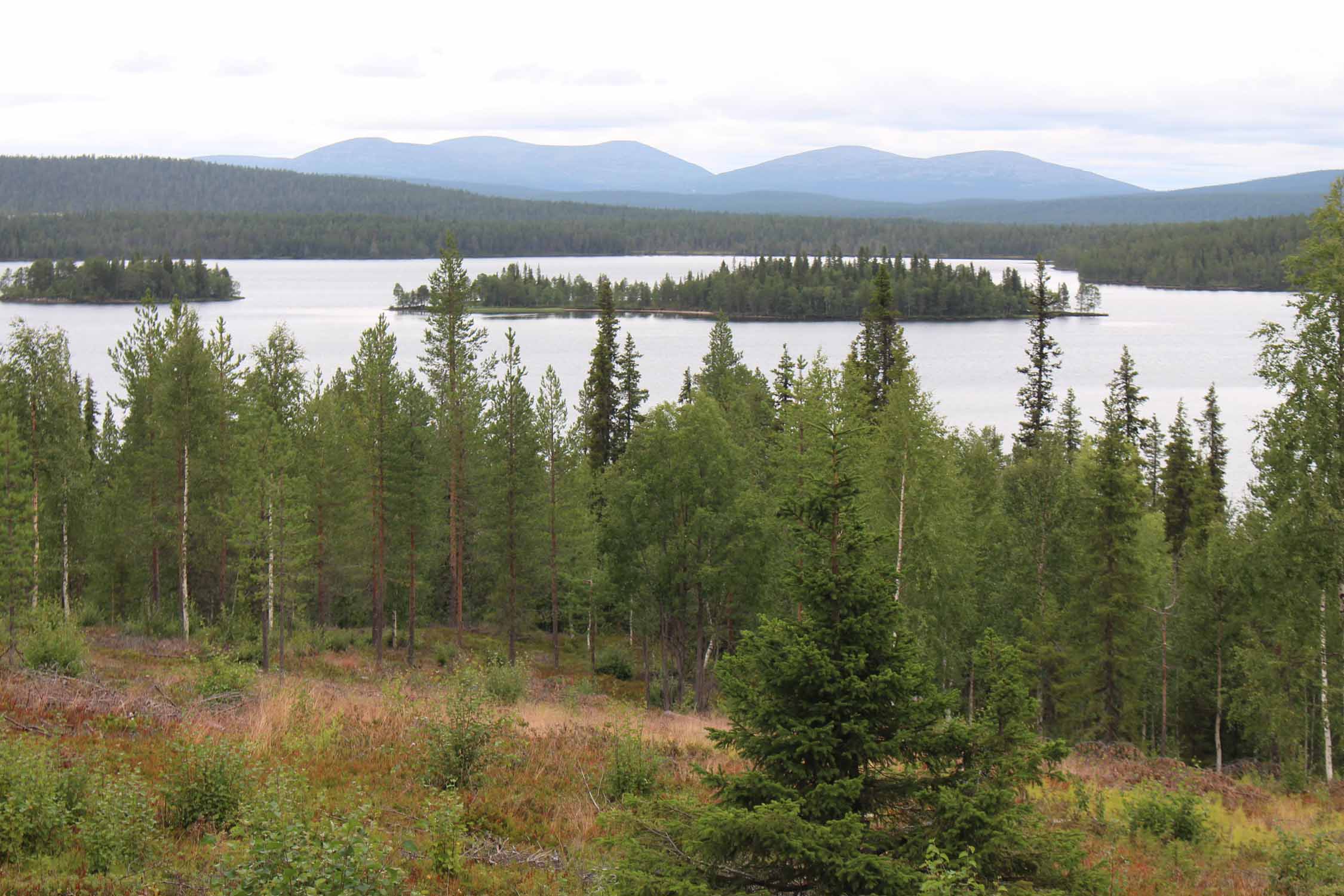 Laponie, Kitkiojärvi, paysage