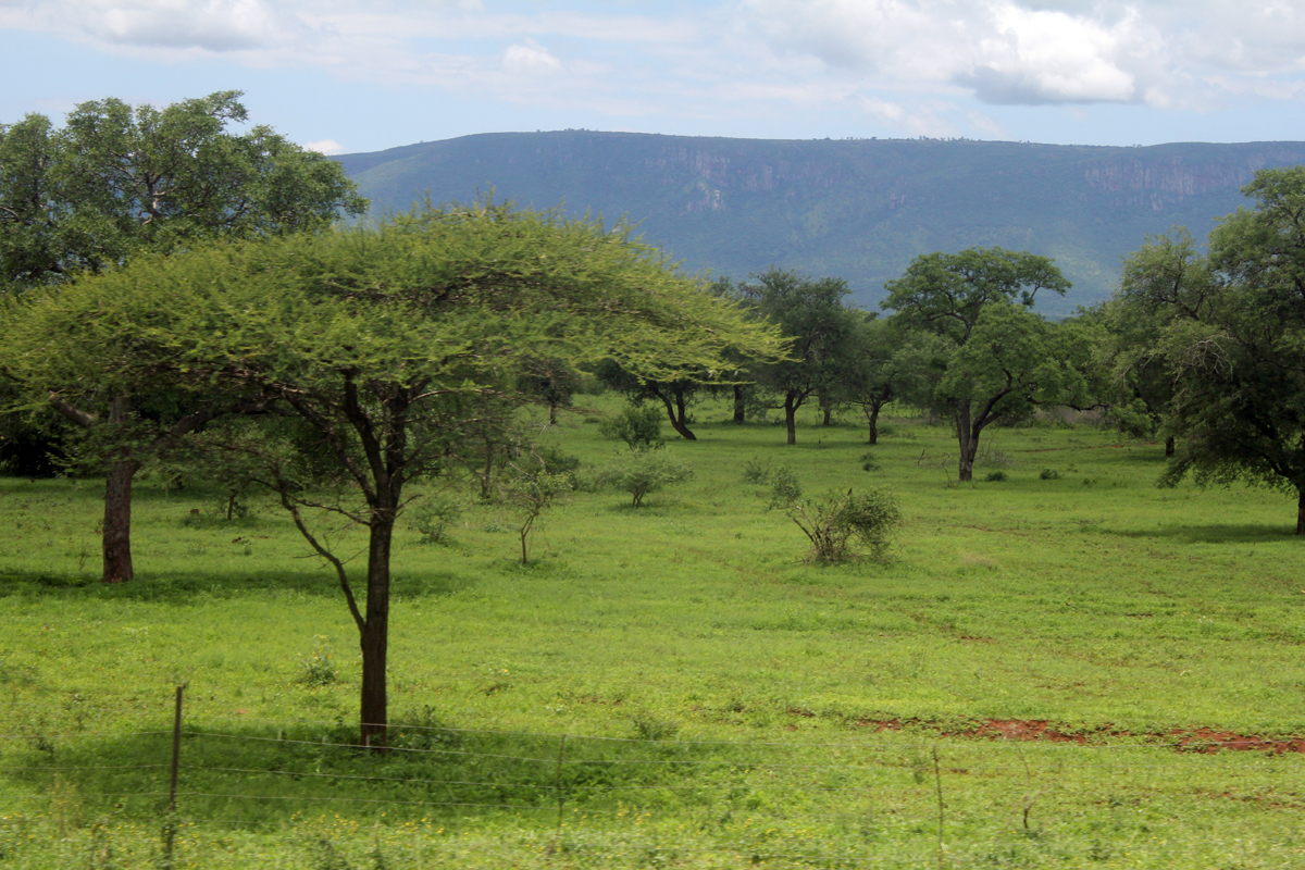 Lavumisa, paysage