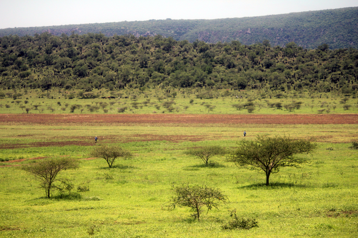 Nsoko, paysage