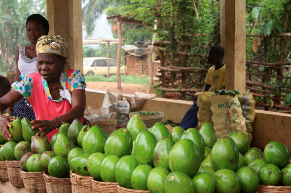 Kpalimé, avocat