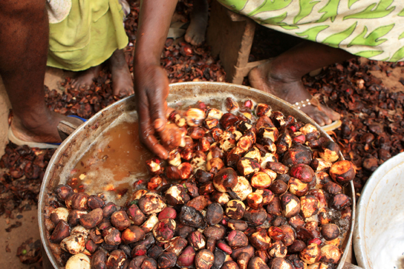 Kouma Kounda, cola