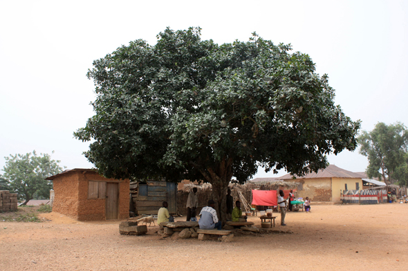 Arbre à palabres, Kouma Kounda