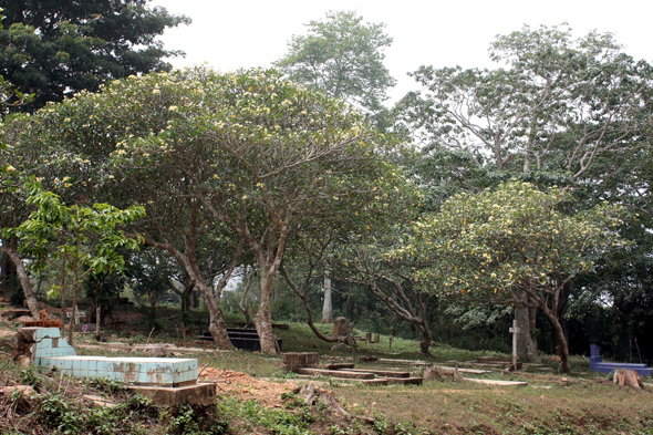 Cimetière, Kouma Kounda