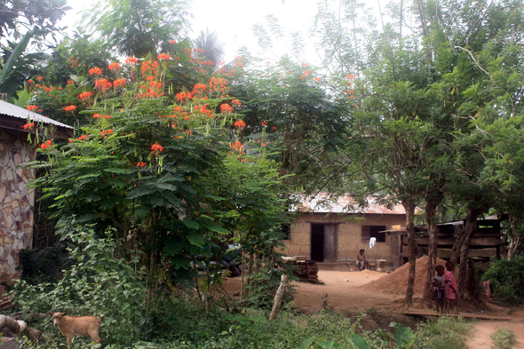 Village, Togo, Kouma Kounda, paysage