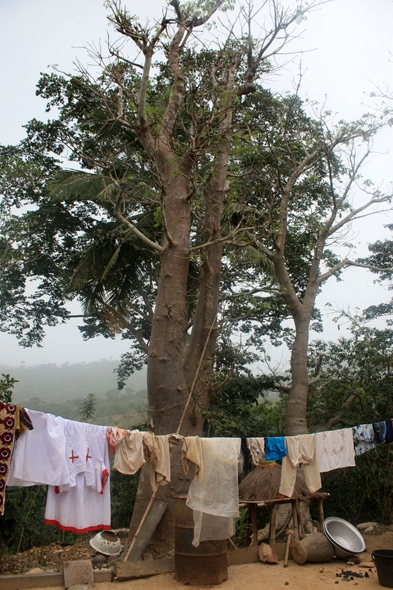 Togo, Baobab, Kouma Kounda