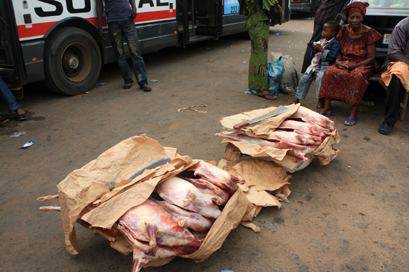 Viande, Lomé