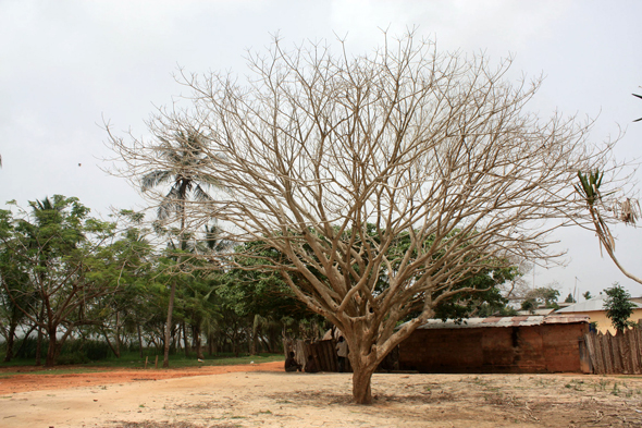 Place des Esclaves, Togoville