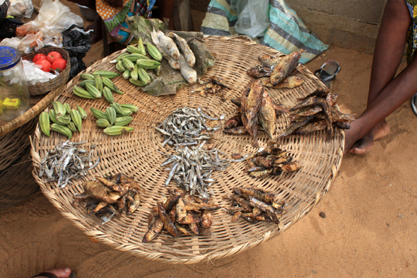 Poissons, Aného