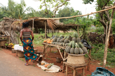 Ananas, Kpalim&eacute;