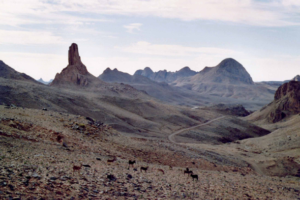 Hoggar, vue, Algérie