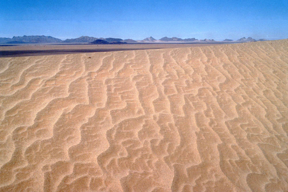 Paysage de l'Amadror au Sahara
