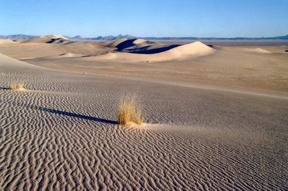 Tihodaine, dunes, Algérie